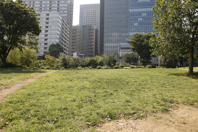 全裸で前転していた公園の中心にある芝生の広場